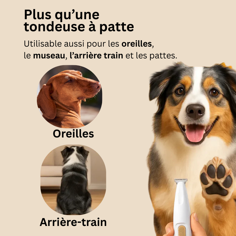 Tondeuse pour pattes