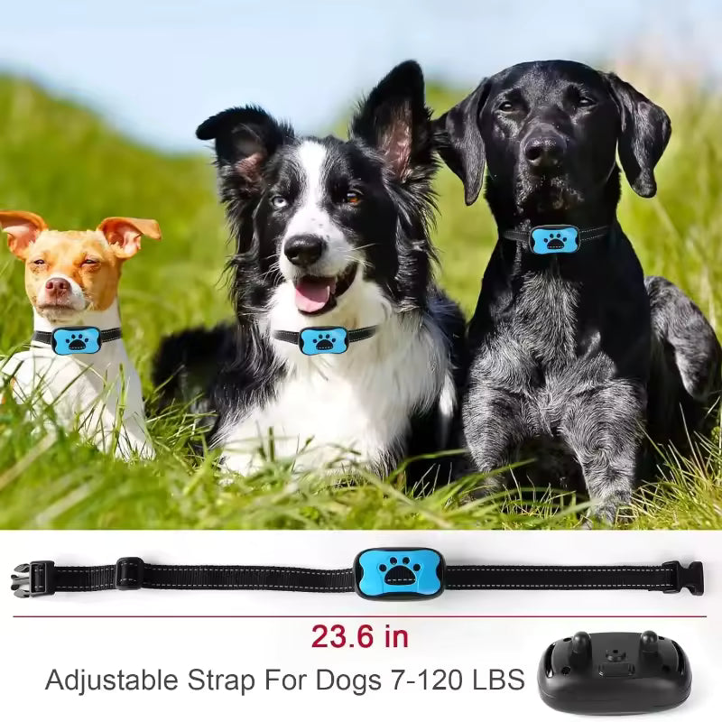Collier anti aboiement Pour chiens