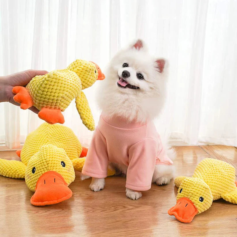 Canard Anti-Stress pour chien